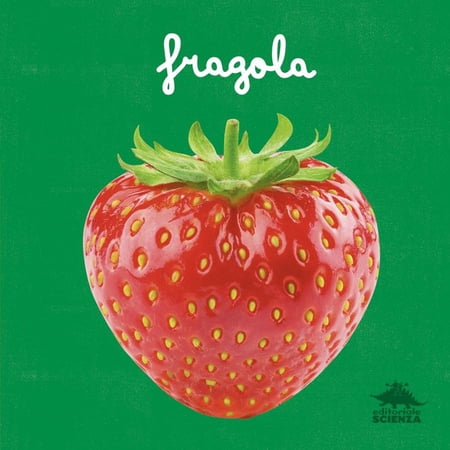 Micol Doria Fragola. Un primo sguardo scientifico sul mondo naturale. Ediz. a color (Hardcover)