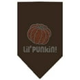 thumbnail image 6 of Halloween Pet and Dog Bandana Rhinestone, "Lil Punkin", 6 of 10