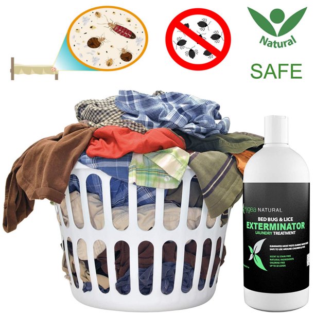 Bed Bug & Lice Killer Laundry Detergent For Household Protection