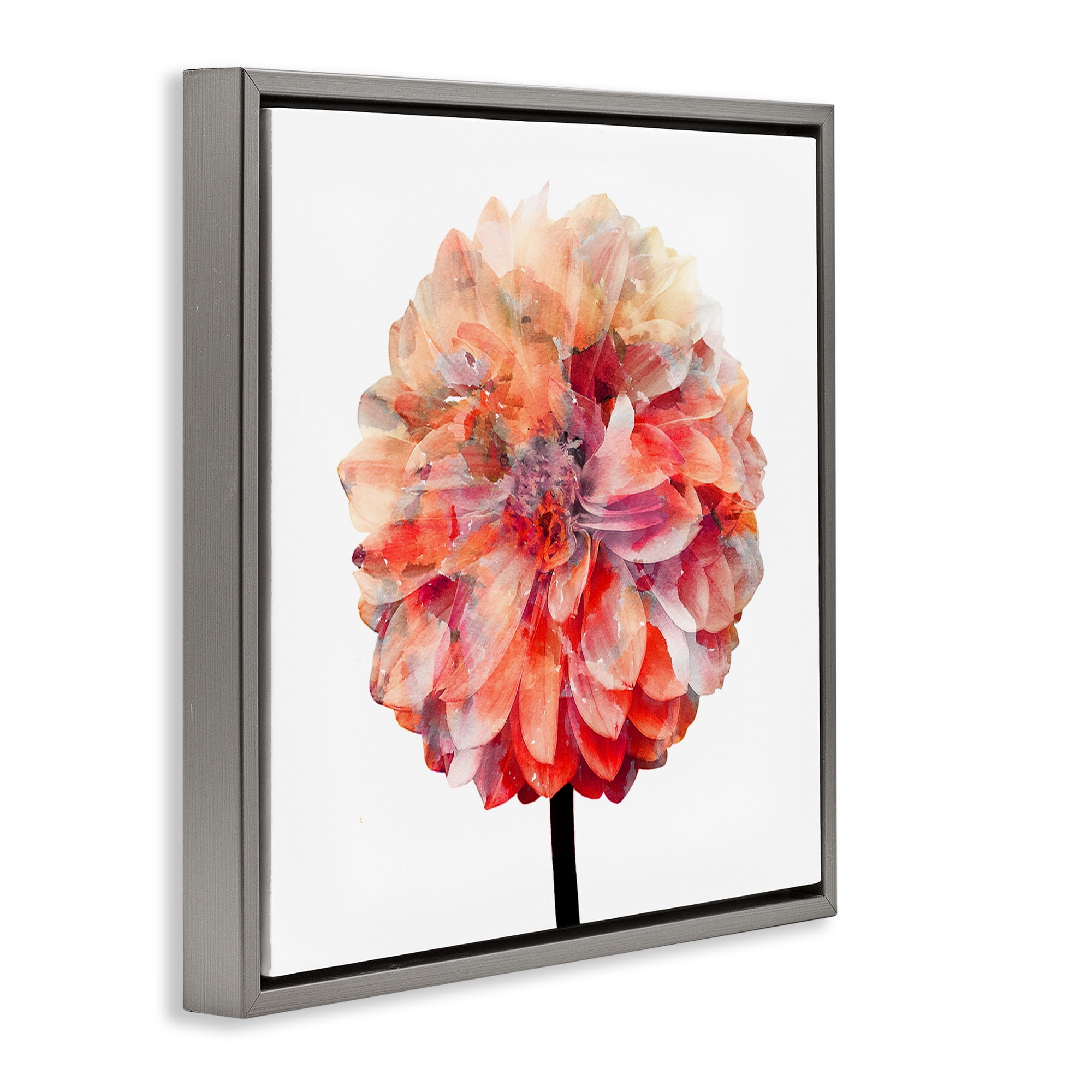 Stupell Industries Bright Coral Watercolor Bloom Botanical & Floral Painting Gray Floater Framed Canvas Art Print Wall Art, 18 x 18
