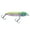 Florida Bass, variant on Heddon Super Spook Boyo