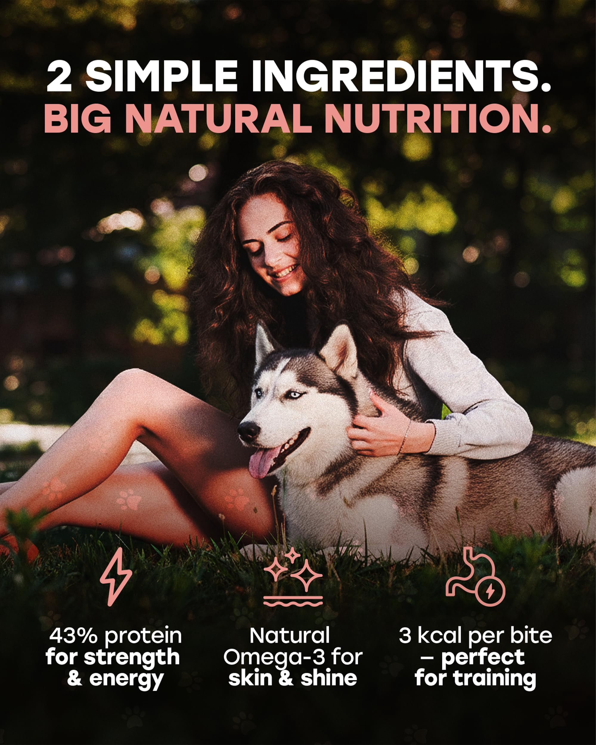 Pup Choice Freeze-Dried Salmon Dog Treats – Single Protein, Grain-Free Training Treats with Sweet Potato, High-Protein Meal Topper, Natural Salmon, 5.5 oz (300 Count)