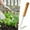 Color_Base#3129, variant on Stainless Steel Garden Weeder Hand Tool with Ergonomic Wood Handle - Long 25.5cm Weed Puller with Leverage Action Base - Heavy Duty Dandelion Root Removal Tool for Lawn and Garden Care - No Chemicals