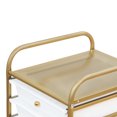 thumbnail image 4 of Carrito organizador 10 niveles para Cocina, Estética, Hogar Idea Nuova 10 cajones, 4 of 9