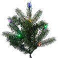 thumbnail image 2 of Vickerman 369531 - 10' x 68" Noble Spruce 1300 Multi-Color Italian LED Lights Christmas Tree (S151387LED), 2 of 2