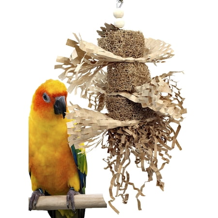 3451 Sponge Shred Small Bird Toy