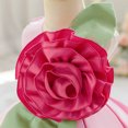 thumbnail image 6 of HJYCHN Kids Dress Sleeveless Round Neck Party Gown with Large 3D Floral Applique and Puffy Tutu Skirt for Girls Dress 12-18 Months, 6 of 9