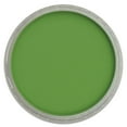 thumbnail image 2 of PanPastel® Artist Pastel, 9ml, Chromium Oxide Green, 2 of 2