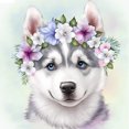 thumbnail image 1 of Kit DIY 5D Husky Siberiano Del 30x30cm, 1 of 9