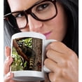 thumbnail image 2 of 3drose, Oregon, Portland. Raccoon Wildlife in Conifer Tree - Us38 Bja0484 - Jaynes Gallery, 11oz Mug, 2 of 6