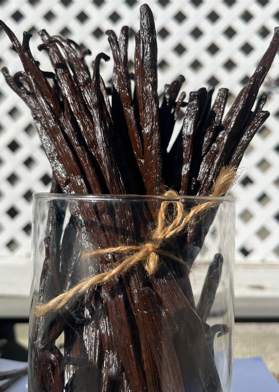 Vanilla Beans