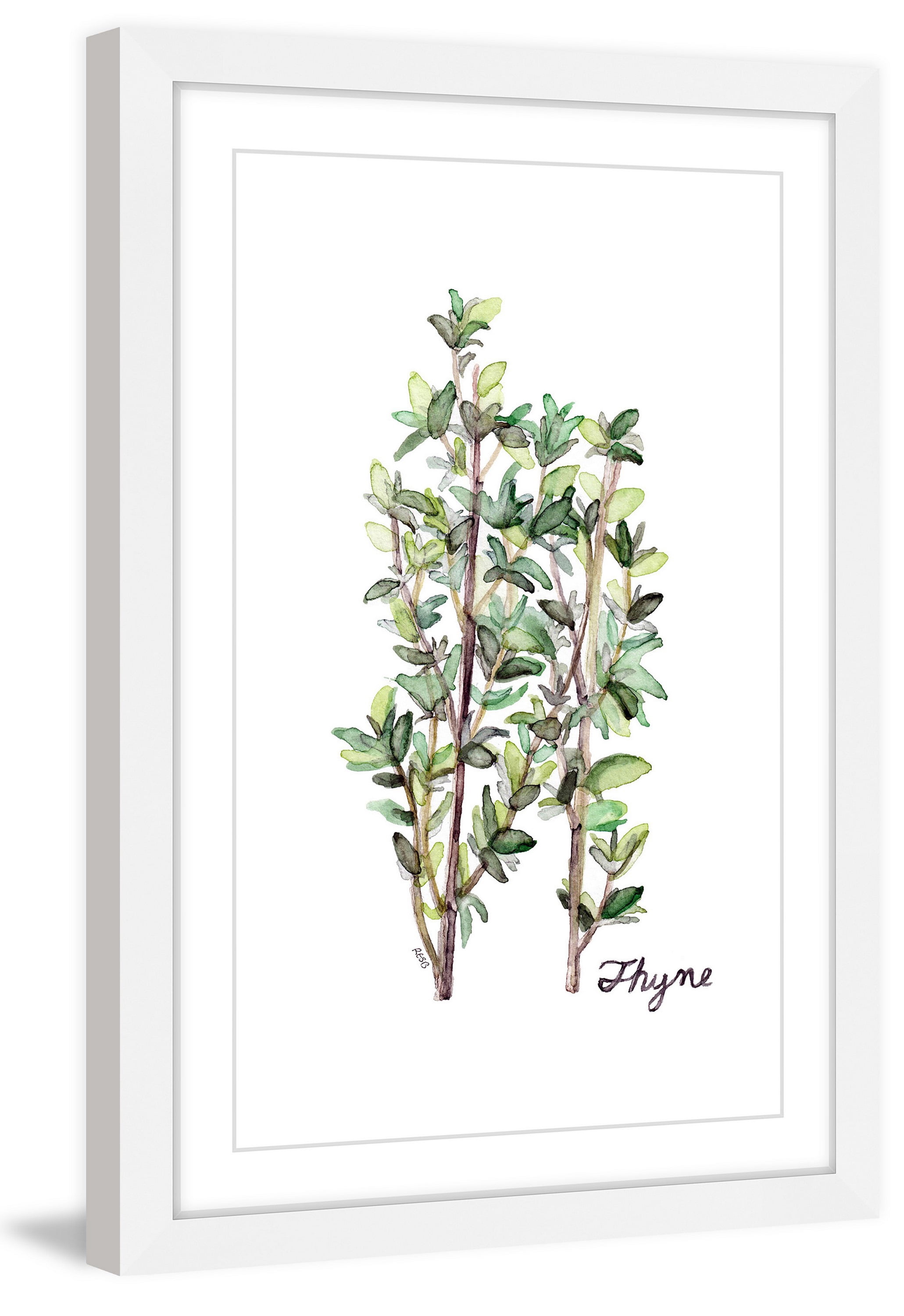 "Herb Thyme" Framed Painting Print