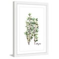 thumbnail image 2 of "Herb Thyme" Framed Painting Print, 2 of 6