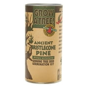 Ancient Bristlecone Pine | Tree Seed Grow Kit | The Jonsteen Company