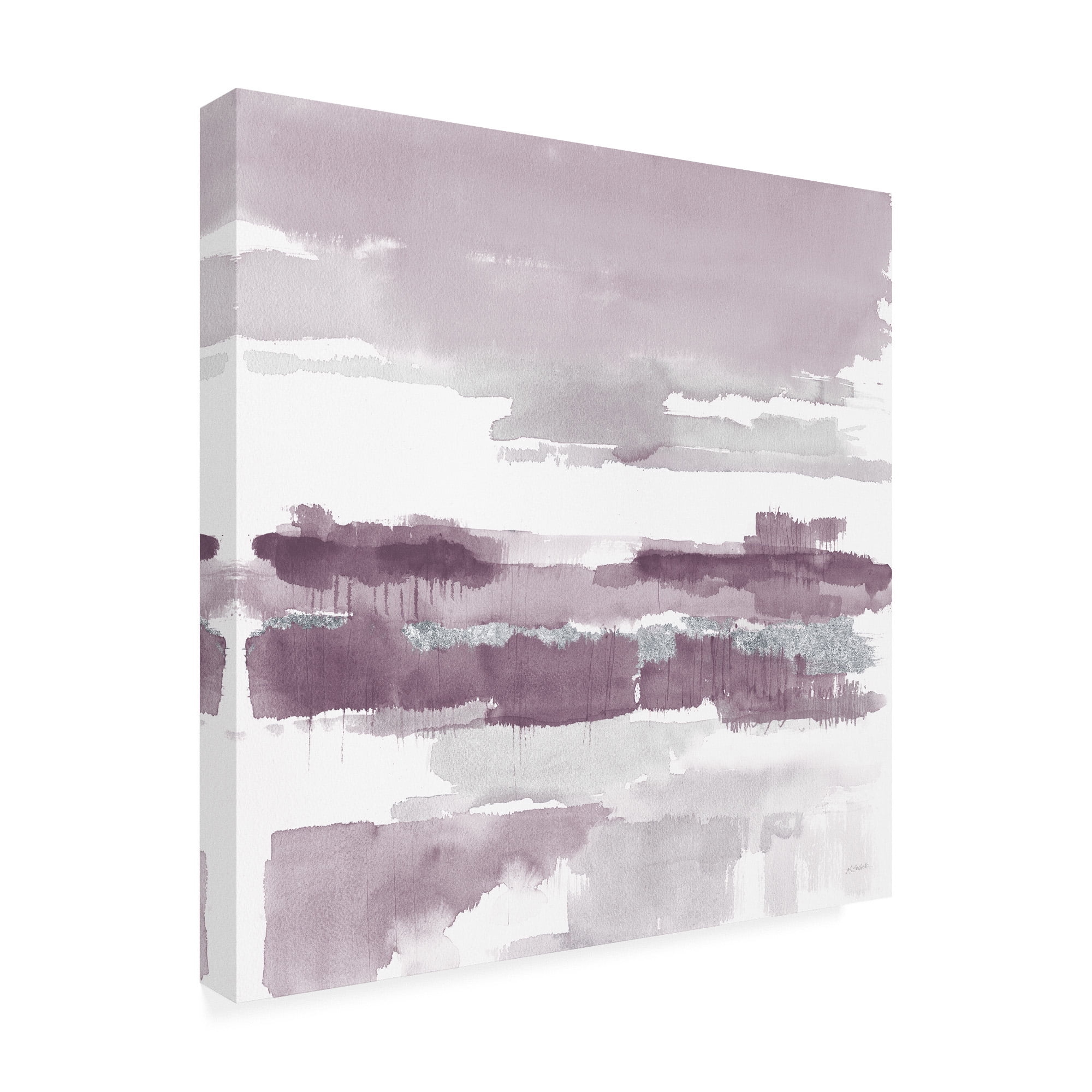Trademark Fine Art 'Amethyst Wetlands' Canvas Art by Mike Schick