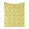 thumbnail image 1 of Melon Soft Flannel Fleece Throw Blanket, Abstract Yellow Color Palette Watermelon Slices, Cozy Plush for Indoor and Outdoor Use, 70" x 90", Yellow White Pale Orange, by Ambesonne, 1 of 5