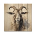 thumbnail image 3 of Designart "Grazing Goats with Grace II" Animals Print on Natural Pine Wood, 3 of 5