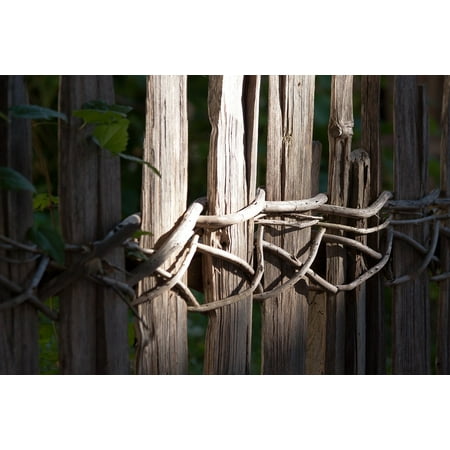 Weathered Plank - LAMINATED POSTER Plank Fence Fence Wood Fence Weathered Wattle Wood Poster Print 24 x 36