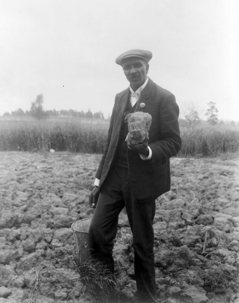 George Washington Carver /N(1864-1943). American Botanist, Chemist, And ...