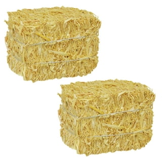 Way to Celebrate! Decorative Straw Bale 9.5 inch x 12 inch x 24 inch  Natural Golden