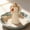 White, variant on Handcrafted Cardinal & Angel Memorial Statue, A Symbol of Love, Peace and Remembrance, Sympathy Cardinal Angel Figurine for Women, Memorial Remembrance Decor, Celebration of Life Gift (1Pc)