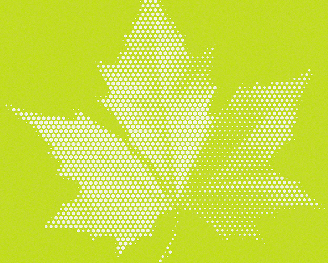 Lars Contzen Martrics - Modern Graphical Flock Green Wallpaper Roll