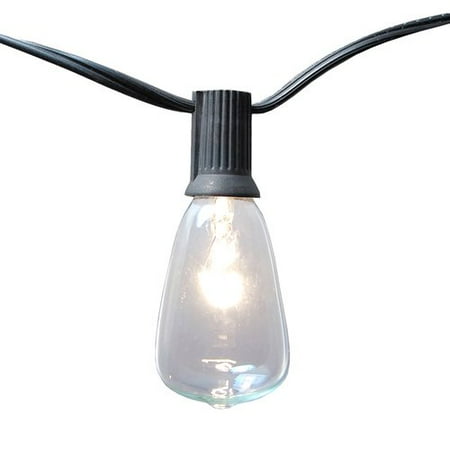 Ten Great String - LumaBase Edison Style String Lights, 10 Lights