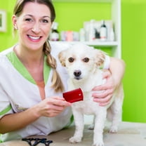 Disposable Flea Pet Comb 12-Pack