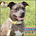 thumbnail image 2 of Country Brook Petz® Pink Lemonade Everyday Dog Collar - Made in the U.S.A., Medium, 2 of 7