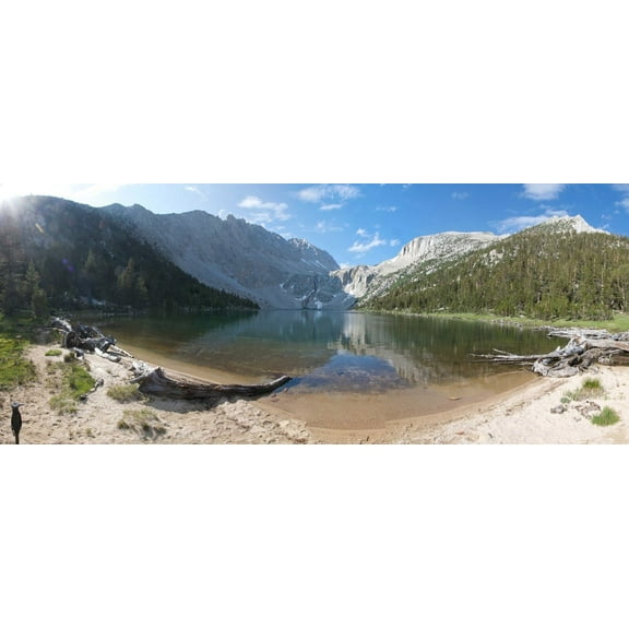 DeWitt Panorama II Wall Decal