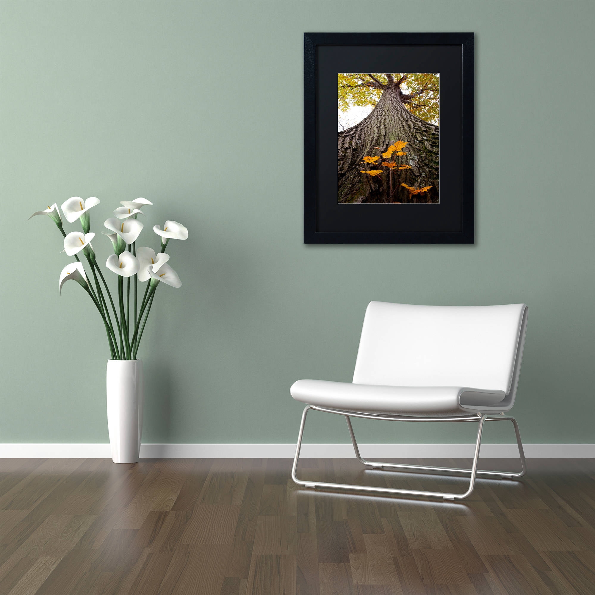 Trademark Fine Art "Aspiring to New Heights" Canvas Art by Kurt Shaffer, Black Matte, Black Frame