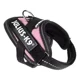 thumbnail image 4 of Pechera Perro Mini Arnes Para Perro Julius-k9 Razas Pequeñas, 4 of 4