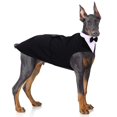 thumbnail image 1 of Conjunto de esmoquin para perro PUMYPOREITY 2XL, pajarita formal negra, 1 of 7