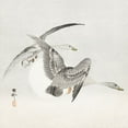 thumbnail image 2 of Koson, Ohara 26x26 White Modern Wood Framed Museum Art Print Titled - Two colt geese in flight, 2 of 4