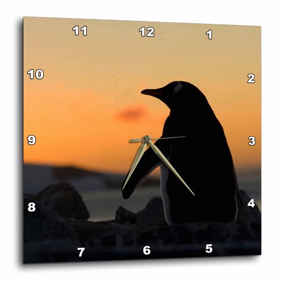 3drose, Gentoo Penguin, Western Antarctic Peninsula-an02 Ska0558 - Steve Kazlowski, 10x10 Wall Clock