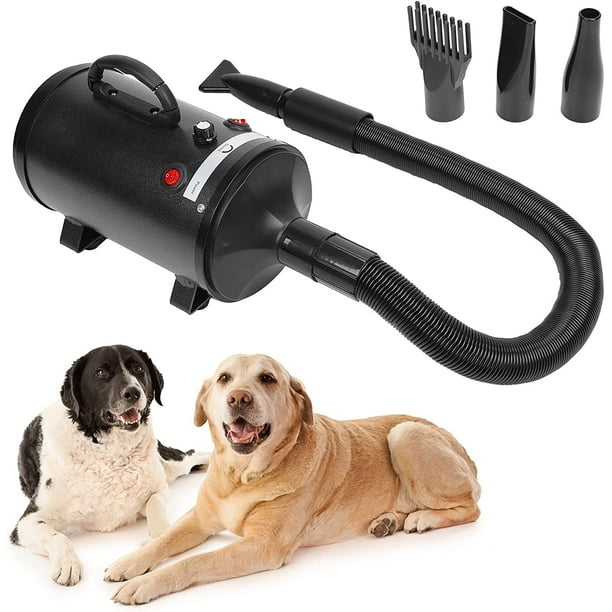 Dog blower clearance