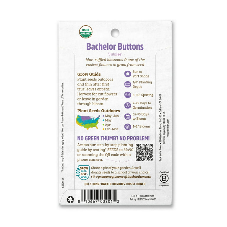 Bachelor Buttons Seeds - Jubilee - Organic
