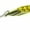 Gold, variant on Sea Striker® 3/4 oz. Surf Spoon Fishing Lure Carded Pack