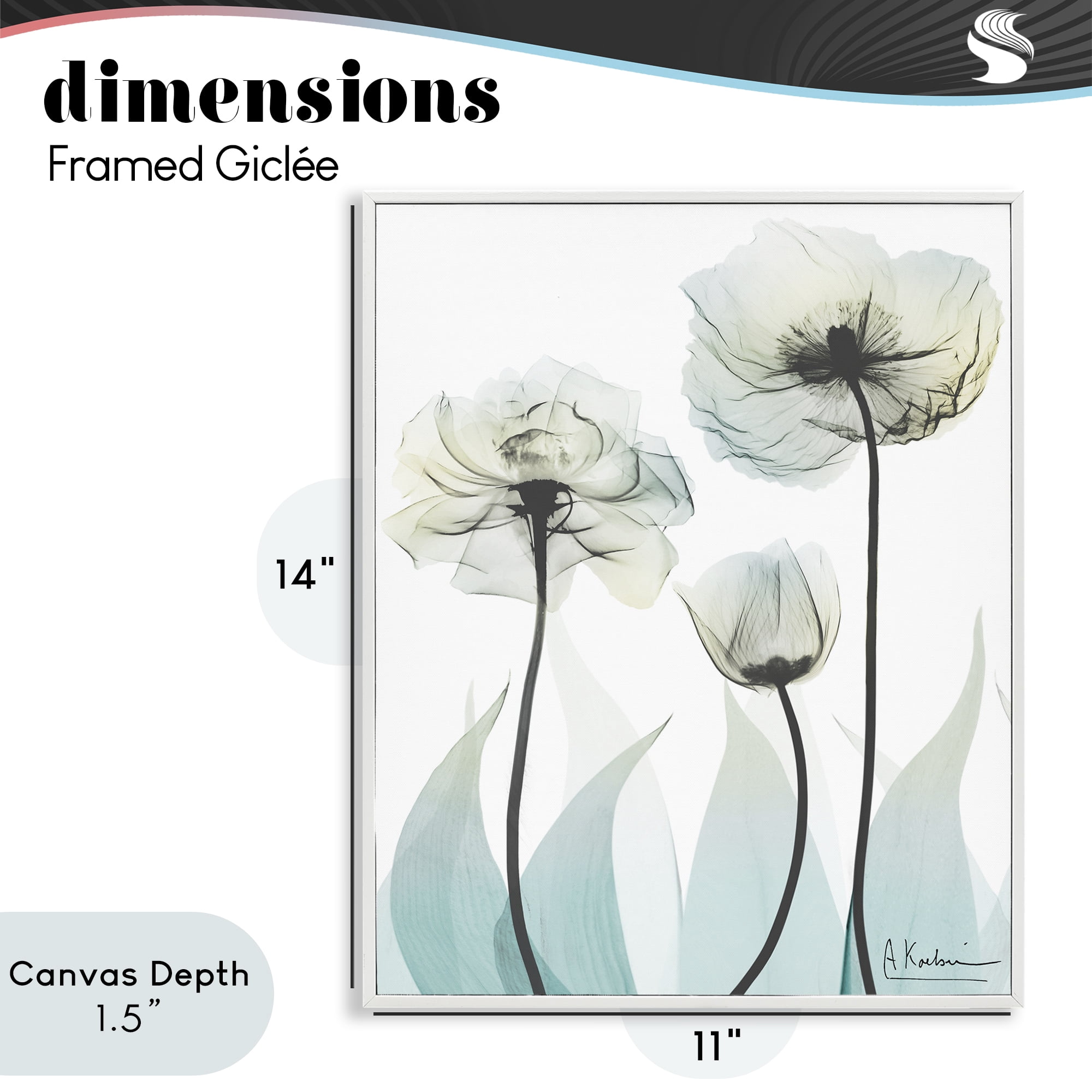Stupell Industries Luxury Of Creation White Framed Giclee Art, design by Albert Koetsier