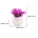 thumbnail image 5 of 8pcs Bonsai Bonsai Greedery Adveringy Dollhouse Decoración Bonsai Modelo de planta pequeña, 5 of 6