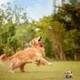 thumbnail image 5 of 2 pelotas para perros, pelotas anudadas de colores, juguetes para masticar para cachorros, pelota de entrenamiento dental, 5 of 5