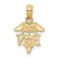 thumbnail image 4 of FJC Finejewelers 14k Yellow Gold Rn Caduceus Charm, 4 of 4