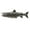 Antique Pewter, variant on Lake Trout Pin, F019, Pewter 1 3/4”, Fish Lapel Pin, Hat, Pins, Brooch, Brooches, Jewelry, Gift, 100% Handmade in the USA, 200 Fish Designs Available