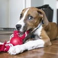 thumbnail image 3 of KONG® Ball with Rope Dog Toy, Small, for Dogs Up to 20 lbs, 3 of 7
