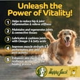 thumbnail image 6 of Happy Jack® Flexenhance™  Plus + HA Dog Hip and Joint Supplement with Skin & Coat Support (80 Chewable Tabs), Improve Flexibility & Mobility, Glucosamine, Green Lipped Mussel, Fish Oil, 6 of 8