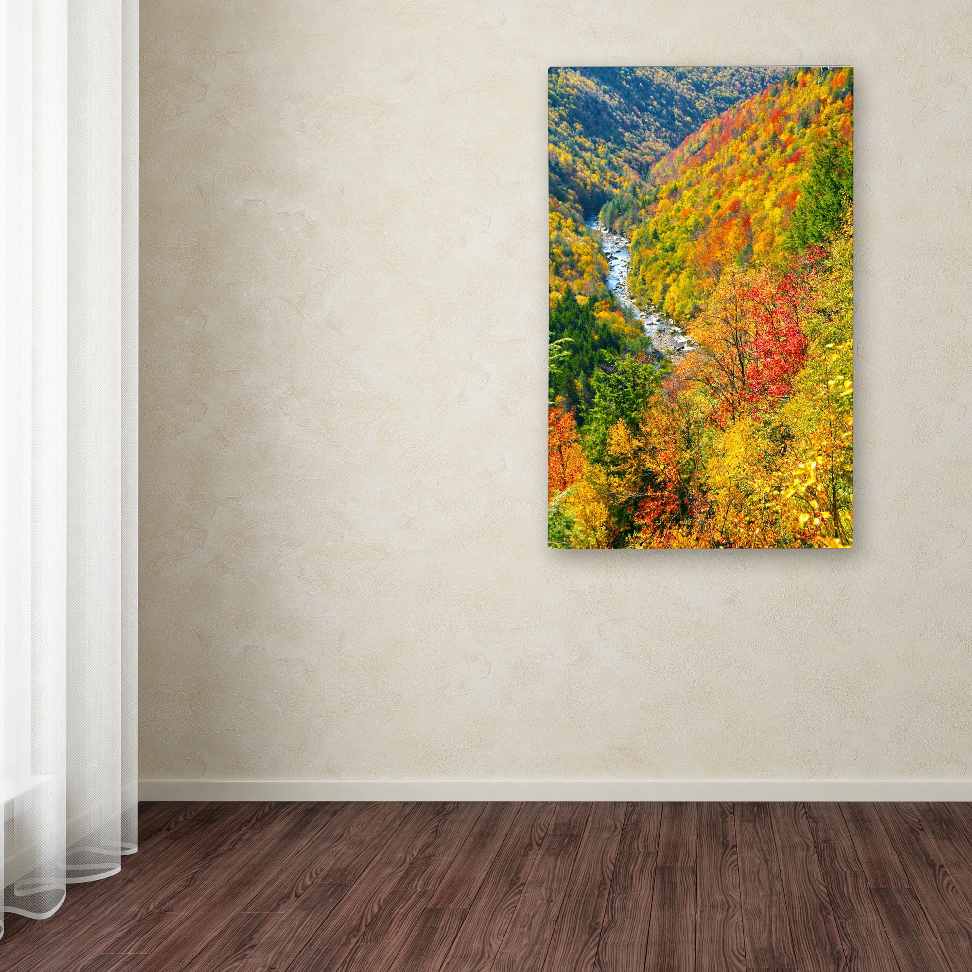 Trademark Fine Art "Valley" Canvas Art by CATeyes