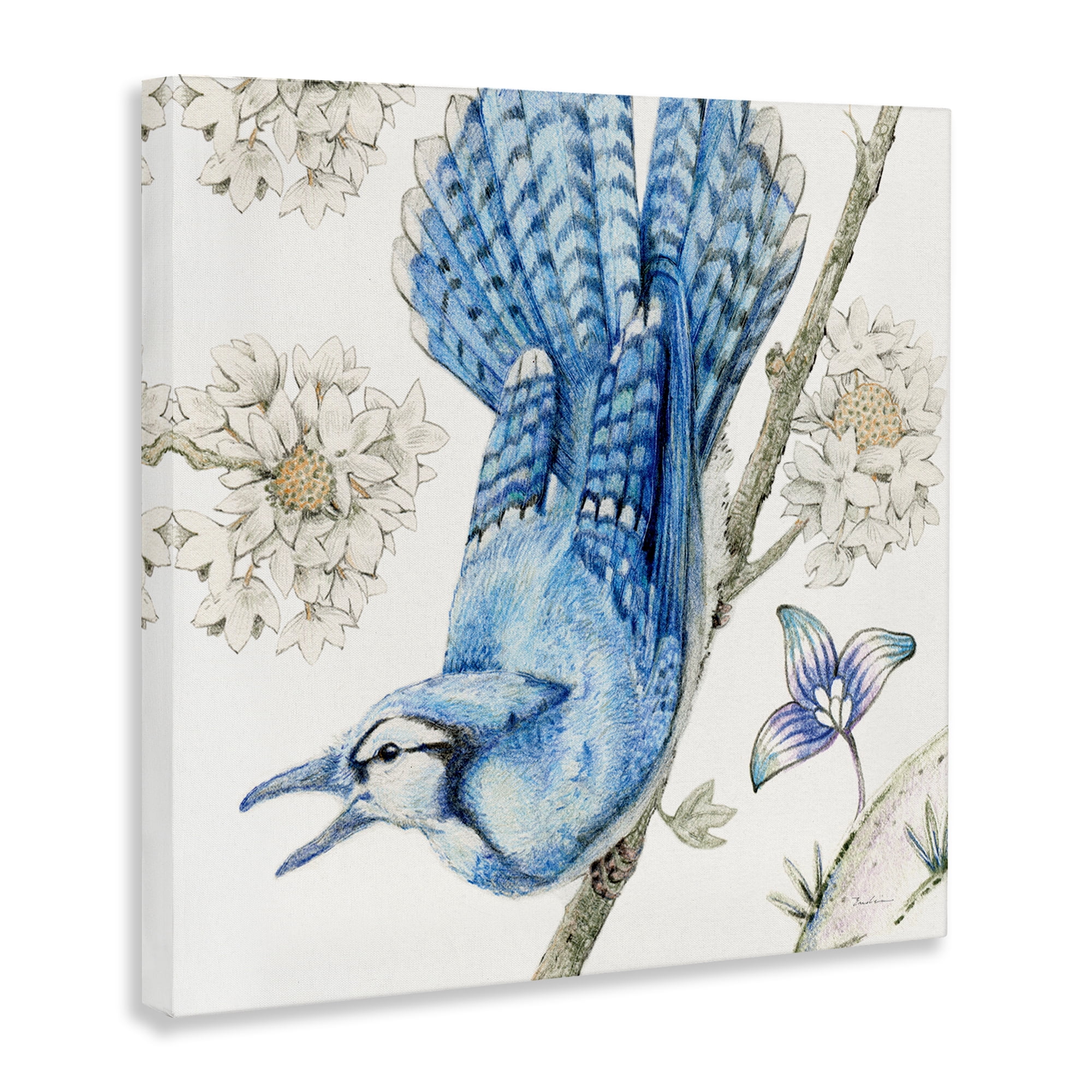 Stupell Industries Blue Jay Perched Florals Animals Painting Wrapped Canvas Art Print Wall Art, 36 x 36