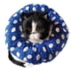 thumbnail image 1 of El collar de seguridad acolchado 100 % algodón mantiene a su mascota segura dentro de la cerca., 1 of 5