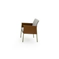 thumbnail image 2 of Modrest Pettit Modern White & Brass Arm Dining Chair, 2 of 5