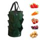 thumbnail image 4 of Bolsa de plantación de fresas 3L Bolsa de cultivo de flores de múltiples bocas Maceta (verde), 4 of 4